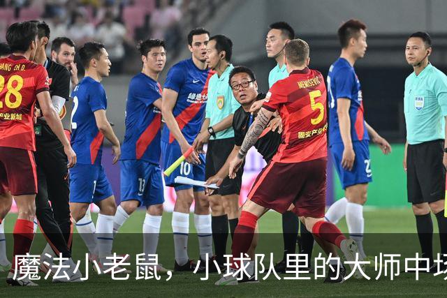 魔法小老鼠，小球队里的大师中场，欧洲杯0出场，生不逢时？